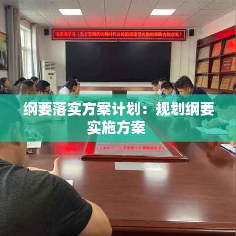 纲要落实方案计划:规划纲要实施方案