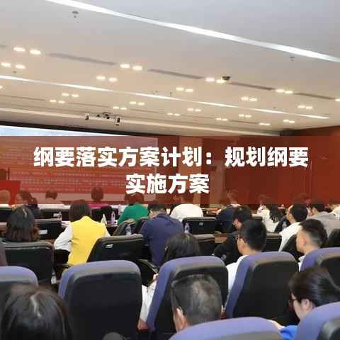 纲要落实方案计划:规划纲要实施方案