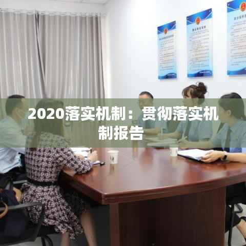 2020落实机制:贯彻落实机制报告