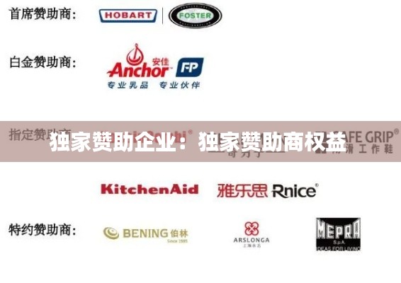 独家赞助企业:独家赞助商权益