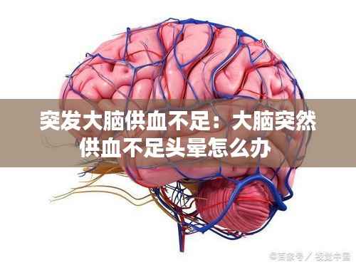 突发大脑供血不足：大脑突然供血不足头晕怎么办 