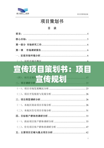 宣传项目策划书:项目宣传规划