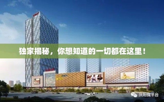 独家揭秘,你想知道的一切都在这里!