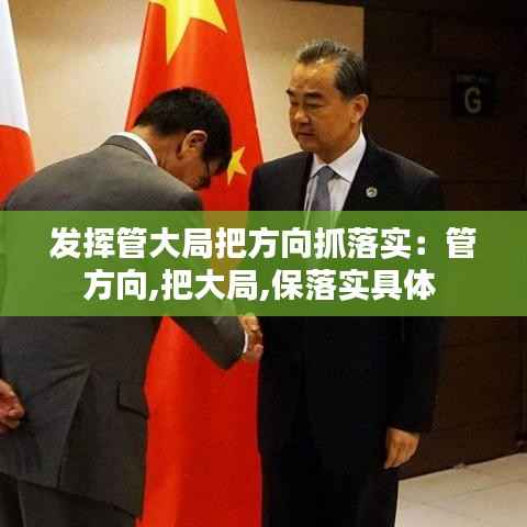 发挥管大局把方向抓落实:管方向,把大局,保落实具体