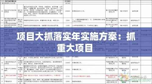 项目大抓落实年实施方案：抓重大项目 