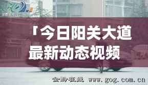 「今日阳关大道最新动态视频，交通动脉繁荣发展震撼呈现」