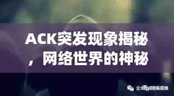 ACK突发现象揭秘，网络世界的神秘面纱之下