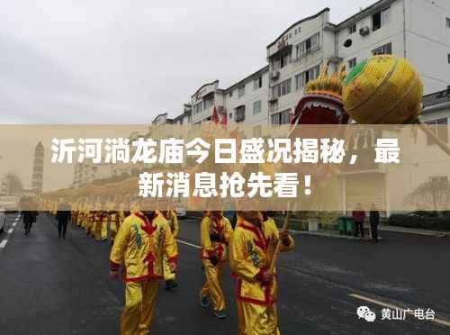 沂河淌龙庙今日盛况揭秘,最新消息抢先看!