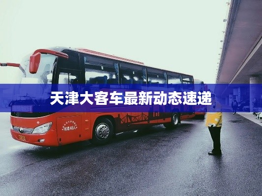 天津大客车最新动态速递