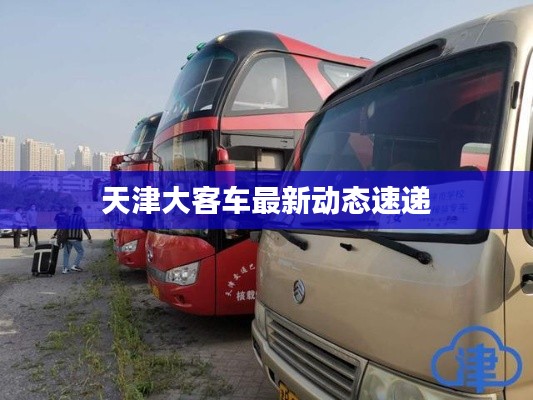 天津大客车最新动态速递