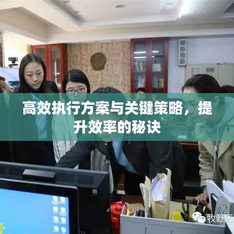 高效执行方案与关键策略,提升效率的秘诀