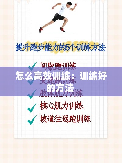 怎么高效训练:训练好的方法