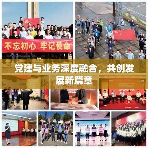 党建与业务深度融合,共创发展新篇章