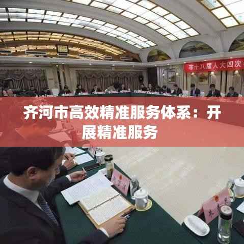 齐河市高效精准服务体系:开展精准服务