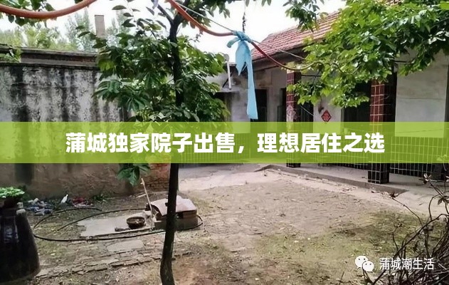 蒲城独家院子出售,理想居住之选