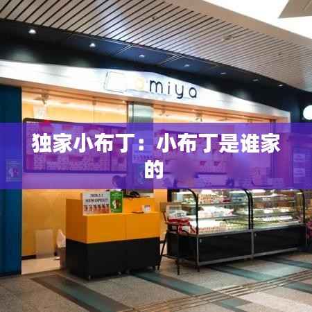 独家小布丁:小布丁是谁家的