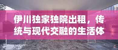 伊川独家独院出租，传统与现代交融的生活体验