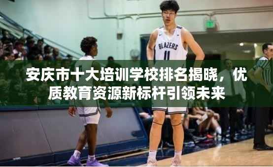 安庆市十大培训学校排名揭晓，优质教育资源新标杆引领未来
