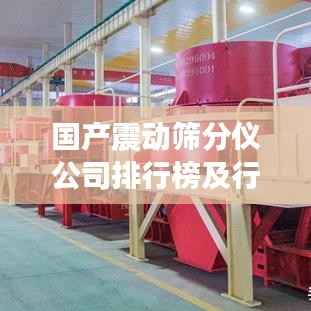 国产震动筛分仪公司排行榜及行业影响力解析
