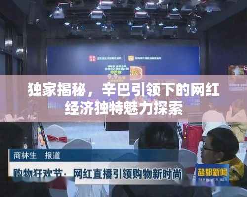独家揭秘,辛巴引领下的网红经济独特魅力探索
