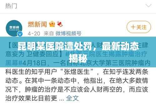 昆明某医院遭处罚，最新动态揭秘