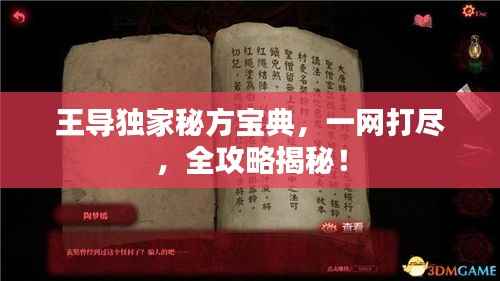 王导独家秘方宝典，一网打尽，全攻略揭秘！