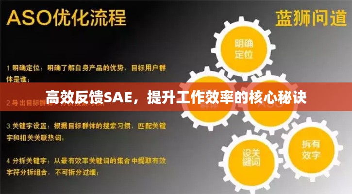 高效反馈SAE,提升工作效率的核心秘诀