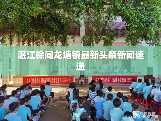湛江徐闻龙塘镇最新头条新闻速递