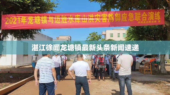 湛江徐闻龙塘镇最新头条新闻速递
