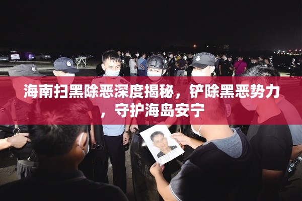 海南扫黑除恶深度揭秘,铲除黑恶势力,守护海岛安宁