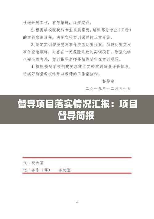 督导项目落实情况汇报:项目督导简报