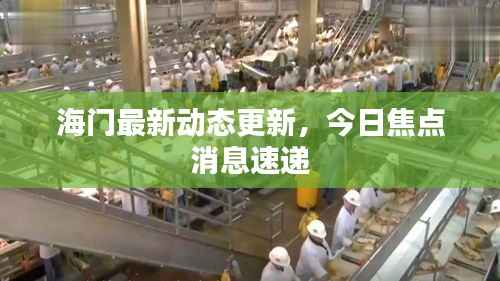 海门最新动态更新,今日焦点消息速递