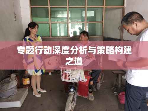 专题行动深度分析与策略构建之道