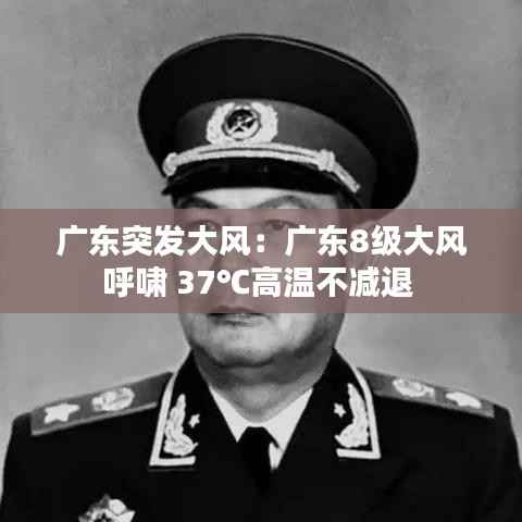 广东突发大风：广东8级大风呼啸 37℃高温不减退 
