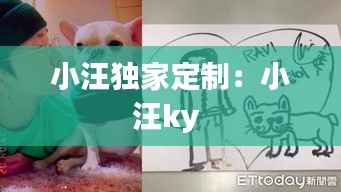 小汪独家定制:小汪ky