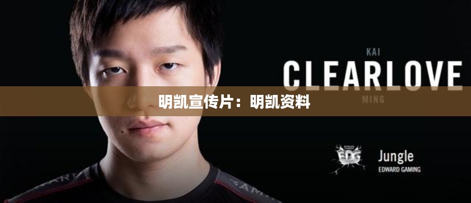明凯宣传片:明凯资料