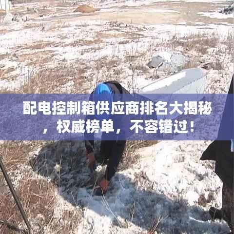 配电控制箱供应商排名大揭秘,权威榜单,不容错过!