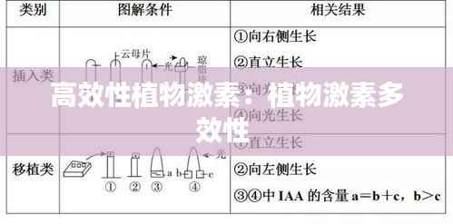 高效性植物激素：植物激素多效性 