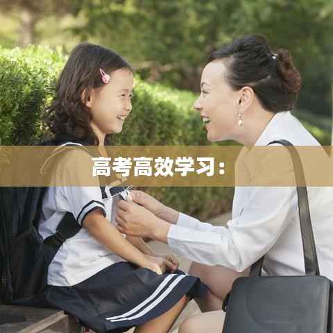 高考高效学习： 