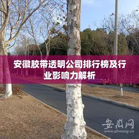 安徽胶带透明公司排行榜及行业影响力解析