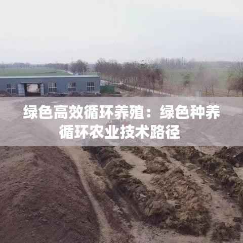 绿色高效循环养殖:绿色种养循环农业技术路径