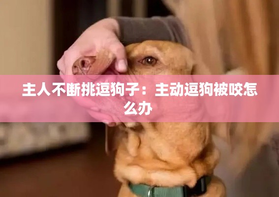 主人不断挑逗狗子:主动逗狗被咬怎么办