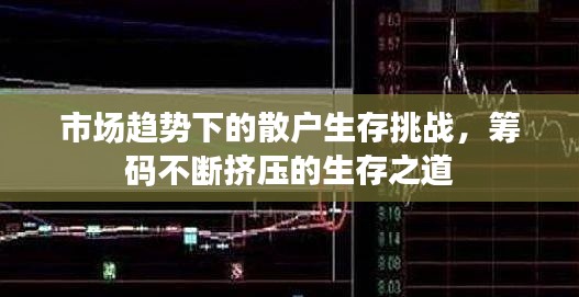 市场趋势下的散户生存挑战，筹码不断挤压的生存之道