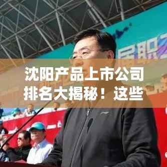 沈阳产品上市公司排名大揭秘！这些企业领跑市场！