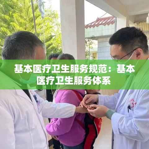基本医疗卫生服务规范:基本医疗卫生服务体系
