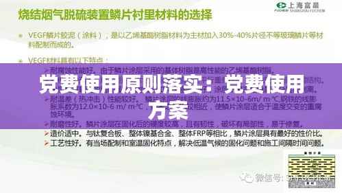 党费使用原则落实：党费使用方案 