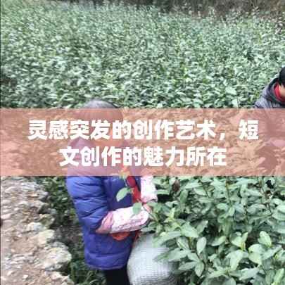 驾轻就熟 第6页