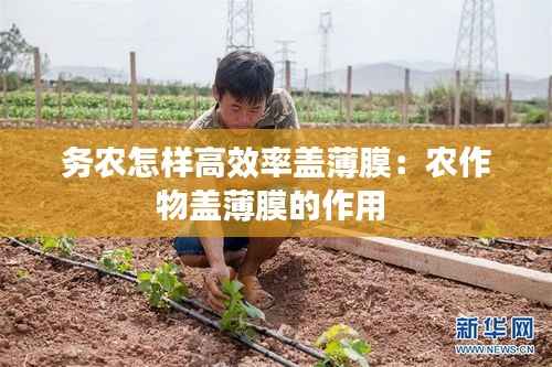务农怎样高效率盖薄膜:农作物盖薄膜的作用