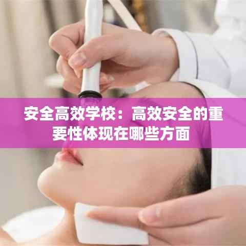 安全高效学校:高效安全的重要性体现在哪些方面