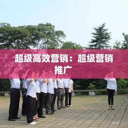 超级高效营销：超级营销推广 